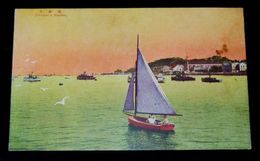 横浜港　ヨット（絵葉書）1枚