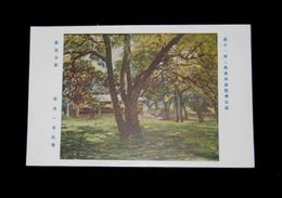 湯浅一郎　高遠公園　第11回二科美術展覧会（絵葉書）1枚