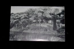 福島　白河小南湖畔　割烹旅館角金（絵葉書）1枚