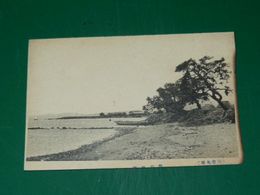 別府　亀川海岸（絵葉書）1枚