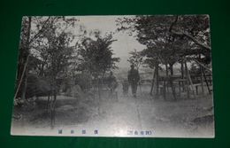 別府　濱脇公園（絵葉書）1枚