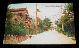 雲仙　公園クラブ前通の桜（絵葉書）1枚