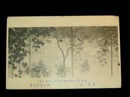 山田耕雲　葡萄　其2　第9回文部省美術展覧会（絵葉書）1枚