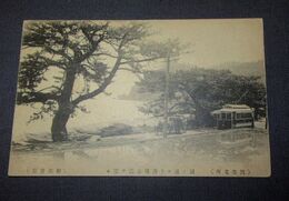 別府　田ノ浦より仏崎公園を望む　路面電車（絵葉書）1枚