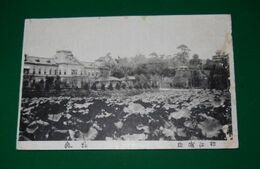 島根　松江城趾（絵葉書）1枚