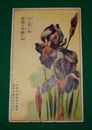 美術図案　中萩村伝染病舎新築　花（絵葉書）1枚