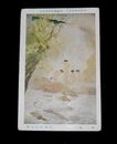 伊東深水　浄晨　第11回帝国美術院展覧会（絵葉書）1枚