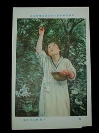 白瀧幾之助　梅　帝國美術院第8回美術展覧会（絵葉書）1枚