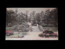 手彩色　中国香港　The Botanic Garden（絵葉書）1枚