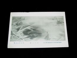 今尾景春　氷雪之図　帝國美術院第7回美術展覧会（絵葉書）1枚