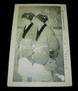 菊池契月　夕至　第12回文部省美術展覧会（絵葉書）1枚