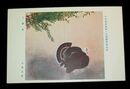 小林古径　七面鳥　第15回日本美術院美術展覧会（絵葉書）1枚