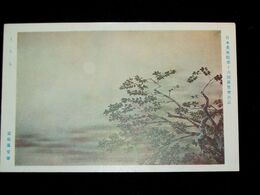 富取風堂　さくら　第16回日本美術院美術展覧会（絵葉書）1枚