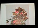 宮崎東里　椿　第16回日本美術院美術展覧会（絵葉書）1枚