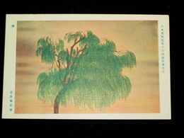 富取風堂　柳　第16回日本美術院美術展覧会（絵葉書）1枚