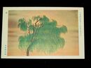 富取風堂　柳　第16回日本美術院美術展覧会（絵葉書）1枚