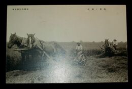 札幌外四郡　牧草ノ刈取（絵葉書）1枚