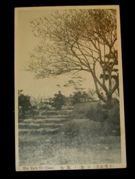 小樽　公園ノ風光（絵葉書）1枚