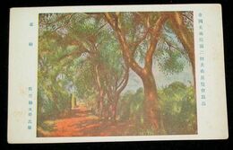 佐竹徳次郎　並樹　第2回帝國美術院展覧会（絵葉書）1枚