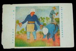 篠田柏邦　苗とり　第2回帝國美術院展覧会（絵葉書）1枚