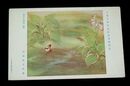 川端龍子　庭上の印象　夏　日本美術院展覧会（絵葉書）1枚