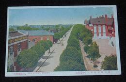 奉天新市街　小学校前（絵葉書）1枚