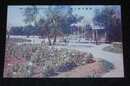 撫順大和公園（絵葉書）1枚