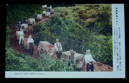 青森　りんごの運搬（絵葉書）1枚