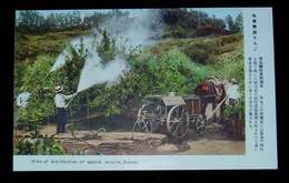 青森りんご　害虫駆除薬剤散布（絵葉書）1枚