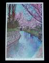 東莱温泉場　白鹿橋と桜（絵葉書）1枚