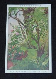 榊原紫峰　青梅　其1　第1回国画創作協会（絵葉書）1枚