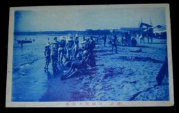 新潟　越前　三国海水浴場（絵葉書）1枚