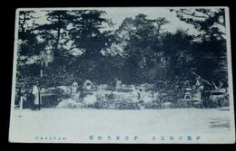 宇和島　伊達家天赦園（絵葉書）1枚