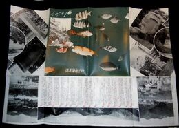 兵庫　神戸ところどころ　電車自動車路線図　39×54ｃｍ