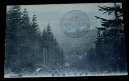 樺太　豊原旭ヶ岡森林（絵葉書）1枚