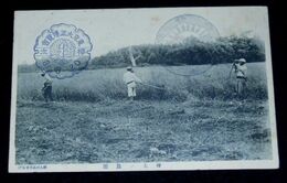 樺太の農園　東京大正博覧会「樺太」スタンプ印（絵葉書）1枚