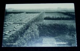 石狩支庁琴似奨励苗圃（絵葉書）1枚