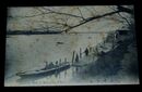 東京　向島の景（絵葉書）1枚