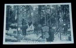 樺太　雪中森林伐採の実況（絵葉書）1枚