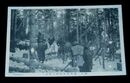 樺太　雪中森林伐採の実況（絵葉書）1枚