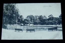 中国上海　ゼエスヒルド公園（絵葉書）1枚