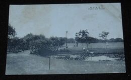 中国上海　新公園（絵葉書）1枚