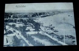 中国上海　公共公園（絵葉書）1枚