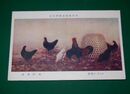 梅村素渓　おちばに鶏図（絵葉書）1枚　日本美術展覧会