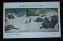 尾竹国観　磯　第12回文部省美術展覧会（絵葉書）1枚