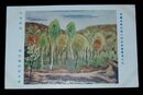 満谷国四郎　早春風景　第6回帝国美術院展覧会（絵葉書）1枚
