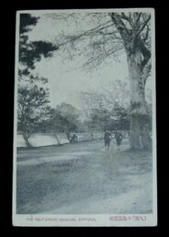 札幌　中島遊園地（絵葉書）1枚