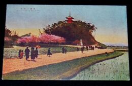 横浜　三渓園（絵葉書）1枚