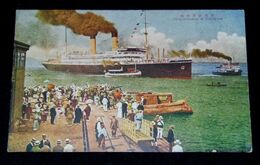 横浜税関桟橋（絵葉書）1枚