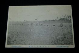 陸軍中央幼年学校　国府寺附近之戦闘（絵葉書）1枚